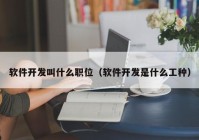 软件开发叫什么职位（软件开发是什么工种）