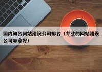 国内知名网站建设公司排名（专业的网站建设公司哪家好）