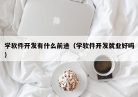 学软件开发有什么前途（学软件开发就业好吗）